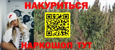 спайс Обь