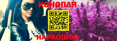 спайс Обь