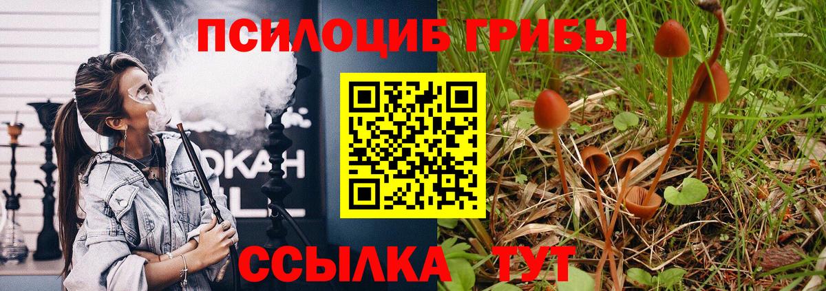 Галлюциногенные грибы мицелий Родники