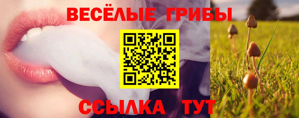 наркошоп  Вход с VPN  Родники  Псилоцибиновые грибы MAGIC MUSHROOMS 